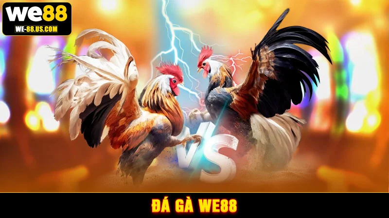 Đá gà WE88